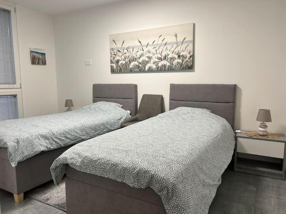 Labpark Relax Apartment Melano Εξωτερικό φωτογραφία